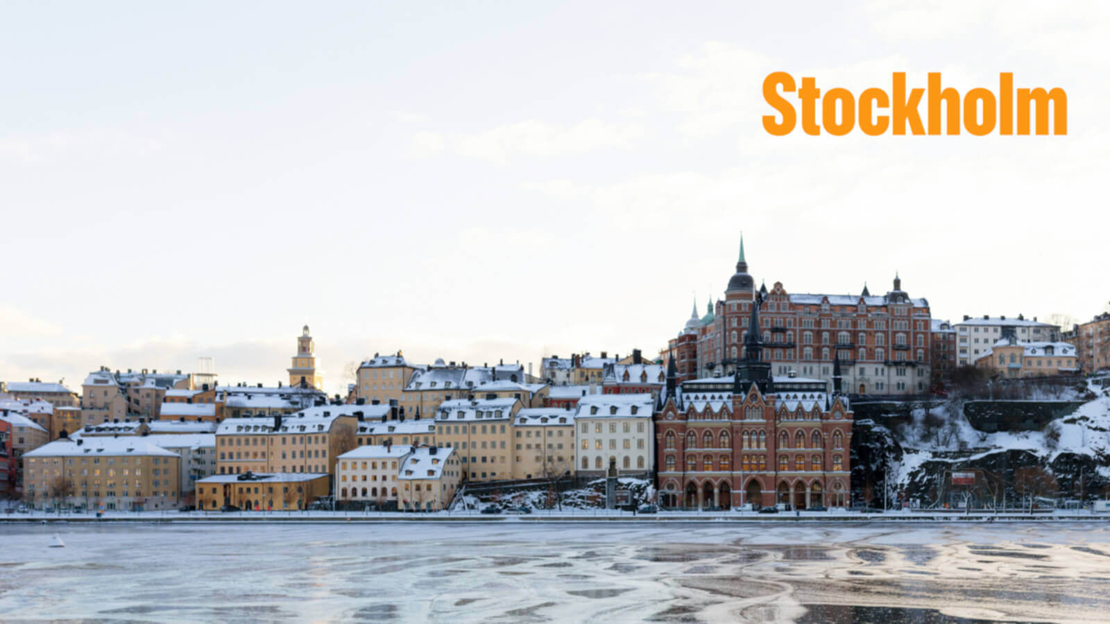 在斯德哥尔摩租巴士